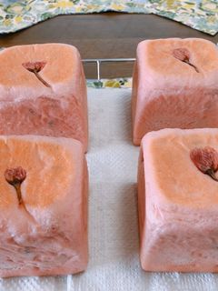 さくらキューブパン(覚書)-レシピのメイン写真