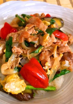 豚こまと彩り野菜の五色丼♬-レシピのメイン写真