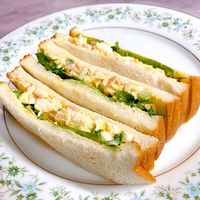 基本からアレンジまで！思わずつくりたくなる「たまごサンド ハム」の