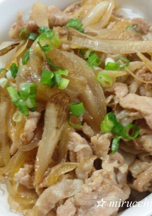 ガッツリ食べて♪我が家の豚丼!-レシピのメイン写真