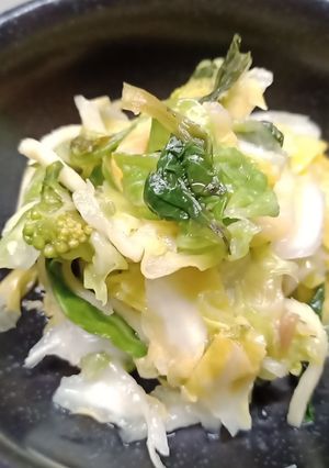 山わさびとキャベツの浅漬け-レシピのメイン写真