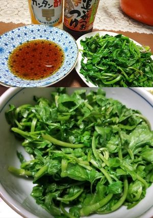 クレソンの美味しい食べ方ですよ～（＾＾）-レシピのメイン写真