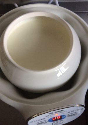 100%milkYogurt ヨーグルト-レシピのメイン写真