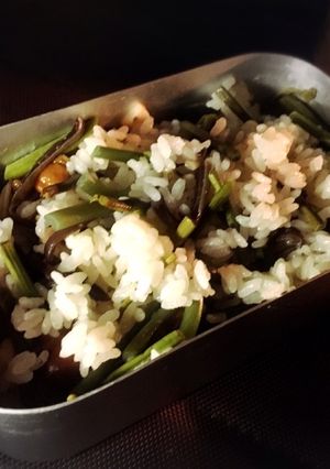 【キャンプ飯】メスティンで山菜炊込みご飯-レシピのメイン写真