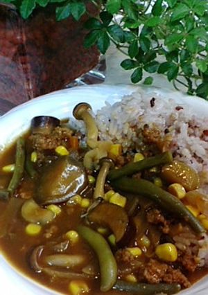 とってもヘルスィ～✿夏野菜カレー♬-レシピのメイン写真