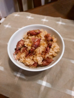 お弁当にホタルイカの炊き込み御飯-レシピのメイン写真