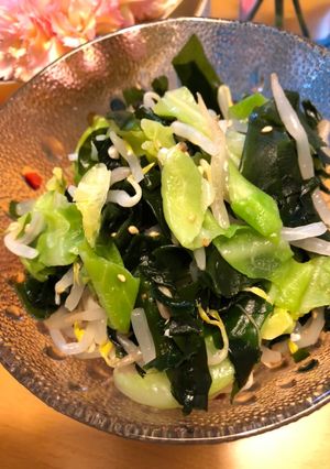 もやしとワカメのダイエットサラダ-レシピのメイン写真