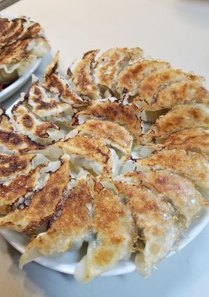 ロシアン餃子-レシピのメイン写真