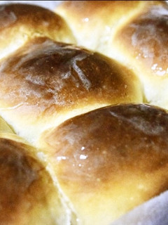 ハニーバター付♡はちみつバターちぎりパン-レシピのメイン写真