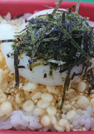 OWTKG(温泉卵タヌキかけごはん)-レシピのメイン写真