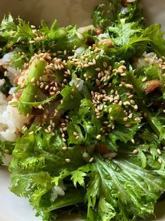 納豆とわさび菜のサラダご飯-レシピのメイン写真