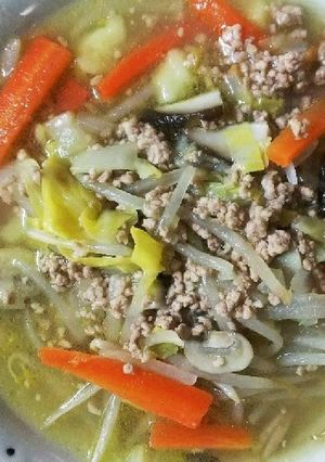 挽き肉と野菜のロシアスープ-レシピのメイン写真