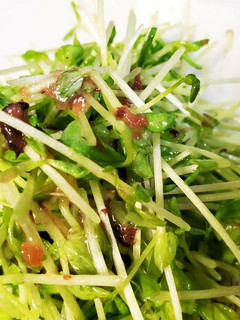 豆苗の梅あえ-レシピのメイン写真