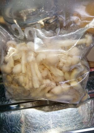 やっぱり冷凍ストックでしょ(*^^*)-レシピのメイン写真