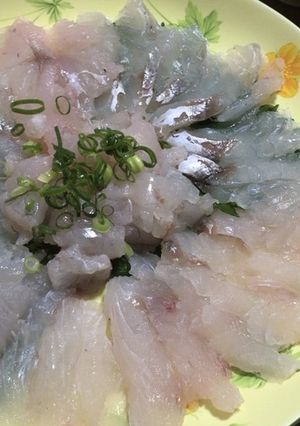 マゴチの薄造り-レシピのメイン写真