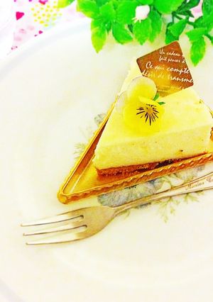 FPで簡単☆ニューヨークチーズケーキ♪-レシピのメイン写真