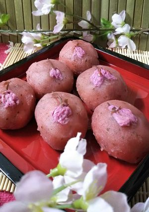 さくらが薫る桜ぼた餅-レシピのメイン写真