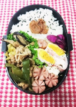 パパ弁当♡肉野菜炒め3/24-レシピのメイン写真