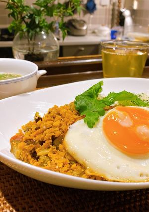 高野豆腐でガパオライス-レシピのメイン写真