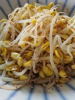 豆もやしのナムル-レシピのメイン写真