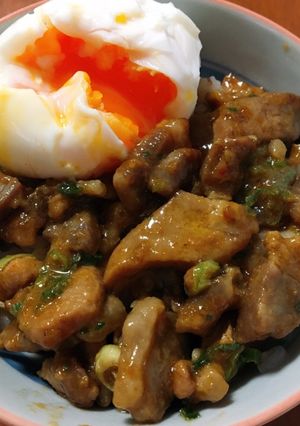 花椒香る。ピリ辛ルーロー飯-レシピのメイン写真