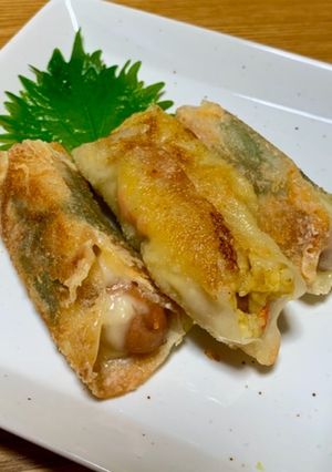 ギョーザの皮でウィンナー巻き☆-レシピのメイン写真