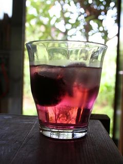 スモモ酒-レシピのメイン写真