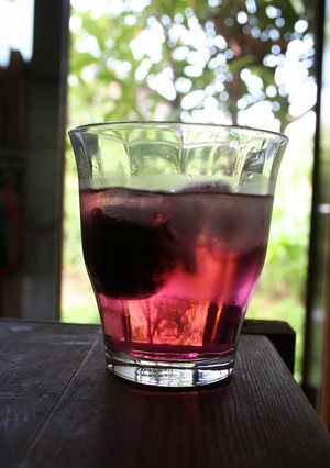 スモモ酒-レシピのメイン写真