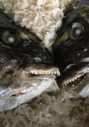 お鍋で炊く 鯛めし-レシピのメイン写真