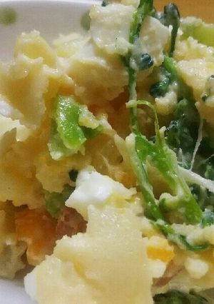 酢玉ねぎレシピNo.5ポテトサラダ-レシピのメイン写真
