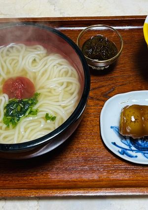 【健康介護】即席うどん出汁ですうどん-レシピのメイン写真