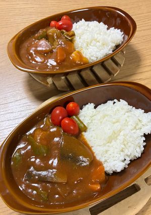 夏野菜ごろごろたっぷりトマトカレー✨-レシピのメイン写真