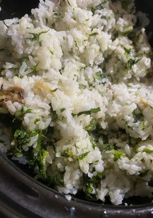 わさび菜de菜飯☆-レシピのメイン写真