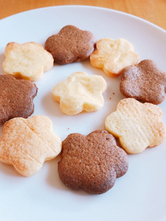一気にプレーンとココアクッキー-レシピのメイン写真