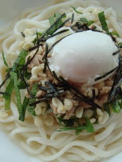 ツナたま冷うどん-レシピのメイン写真