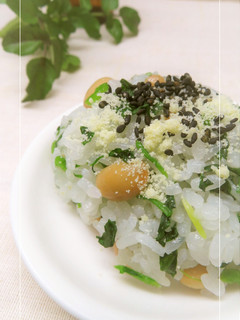 クレソン×大豆×粉チーズのおむすび-レシピのメイン写真