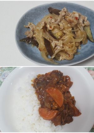 麻婆ナス春雨からカレーライスに2品！　-レシピのメイン写真