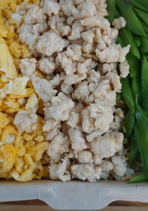鶏そぼろの三色弁当-レシピのメイン写真