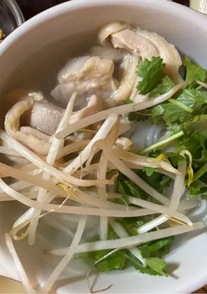 生もやしとパクチーで作る鶏肉のフォー-レシピのメイン写真