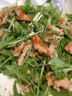 豚肉と水菜のおかずサラダ-レシピのメイン写真