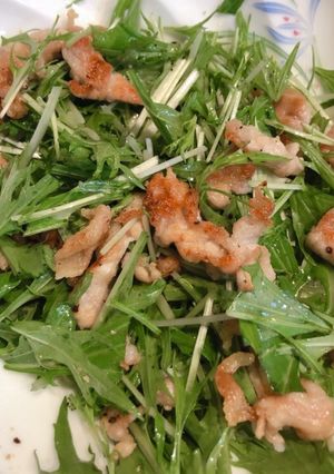 豚肉と水菜のおかずサラダ-レシピのメイン写真
