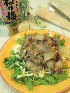 牛肉と新玉ねぎのとろみ梅炒め-レシピのメイン写真