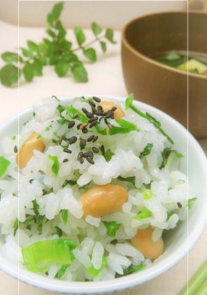 クレソン×大豆の混ぜご飯-レシピのメイン写真