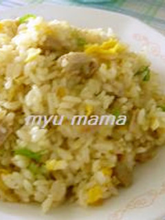 塩豚チャーハン-レシピのメイン写真