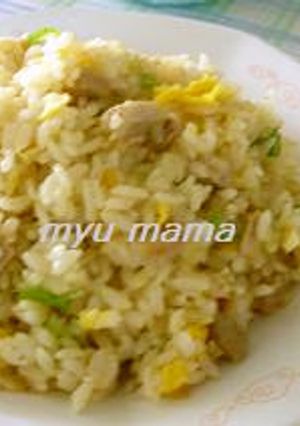 塩豚チャーハン-レシピのメイン写真