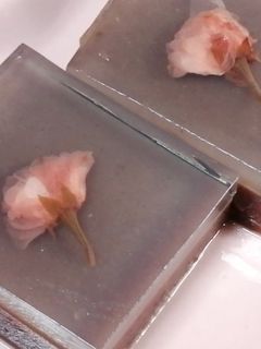 お花見ようかん-レシピのメイン写真