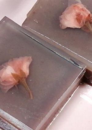 お花見ようかん-レシピのメイン写真