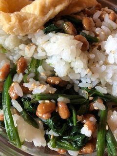 納豆とほうれん草のシンプルご飯-レシピのメイン写真