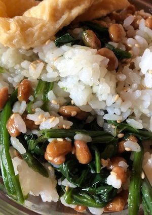 納豆とほうれん草のシンプルご飯-レシピのメイン写真
