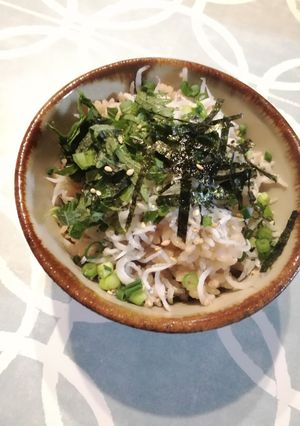 しらす丼-レシピのメイン写真